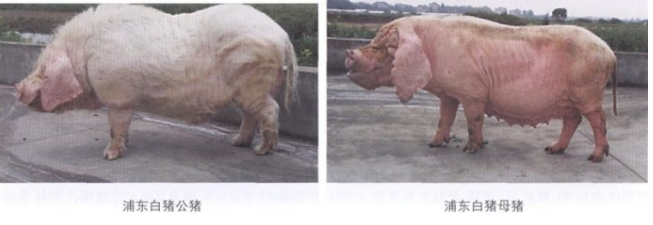 1663920320269979.png image.png